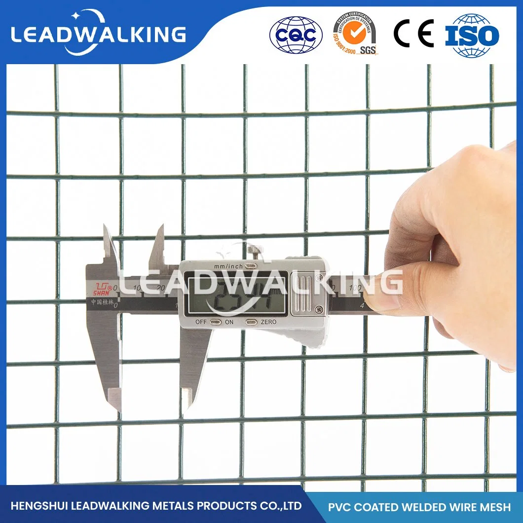 Leadwalking Geschweißte Drahtgitternetzplatten Fabrik Hochwertige Verzinkte Geschweißte Draht Netzing China 25.0X25.0mm Kunststoff PVC-beschichtet geschweißte Drahtgitter