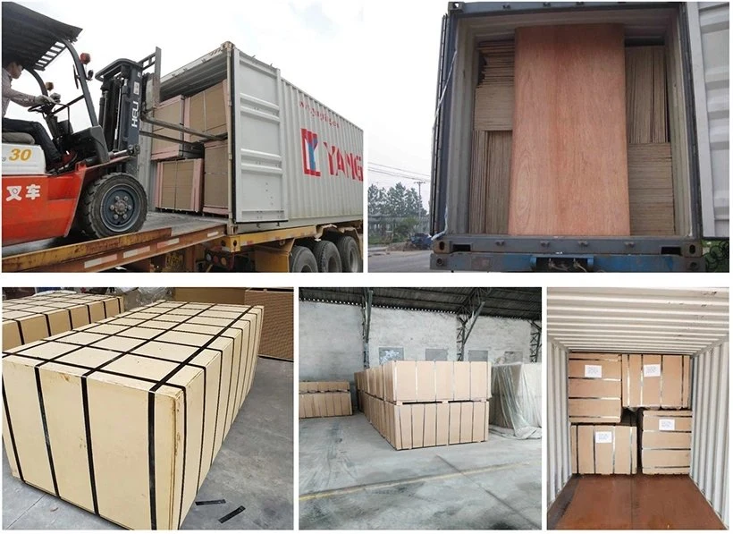 2023 Summer 15mm Sale of Good 915*1830mm Concrete Plastic Formwork