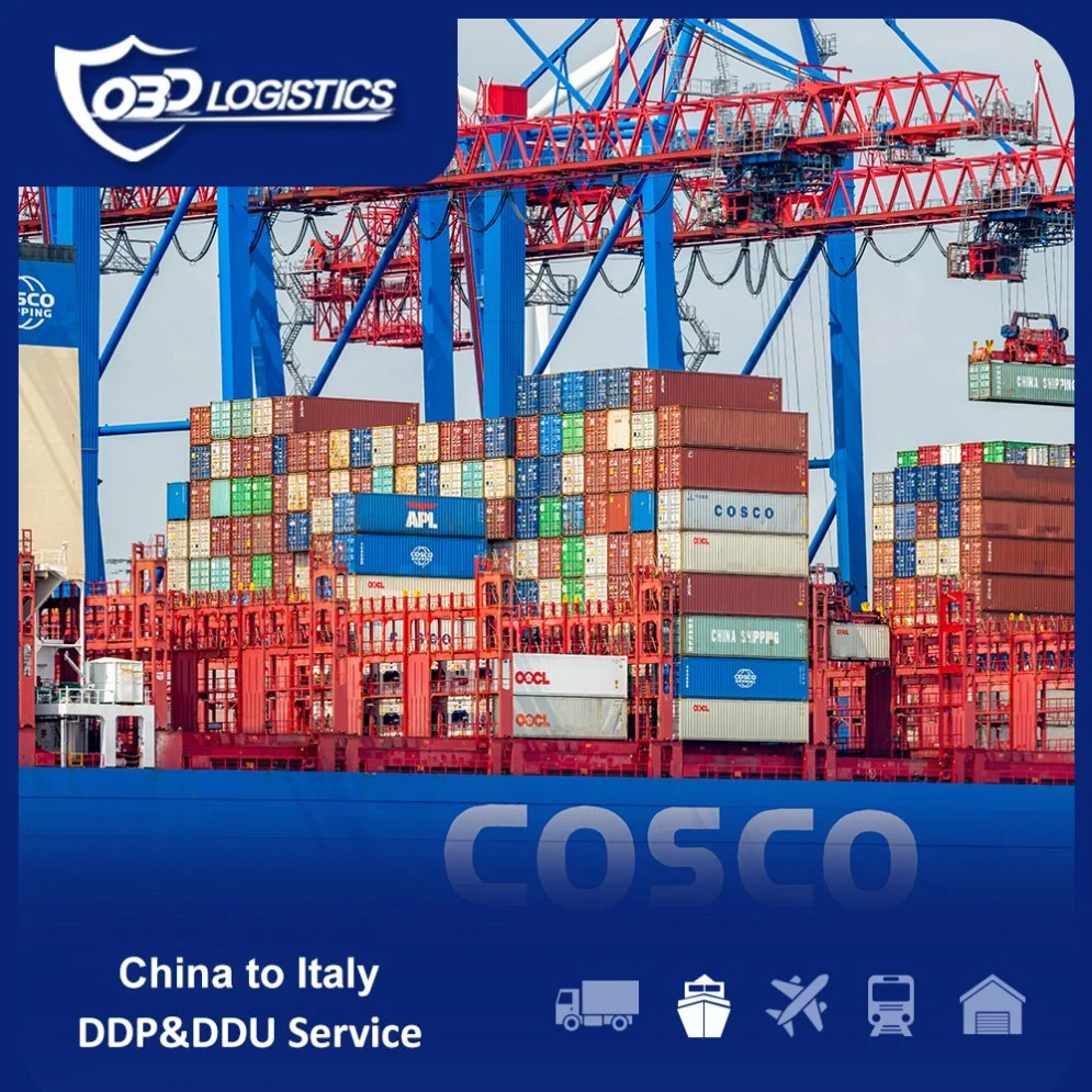 International DDP Shipping Rate China to Italy USA Sea Forwarder Agent China to UK Germany France