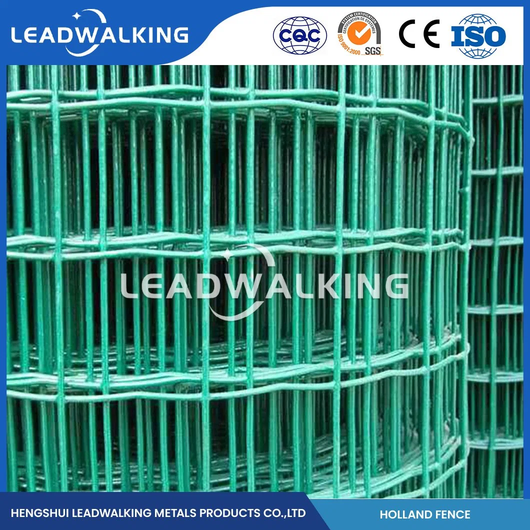 Leadwalking galvanizou solda Mesh. Arame soldado por grosso Com revestimento de plástico para Cage Animal China, com revestimento de PVC de 30 x 30 mm Rede de arame soldada Holland