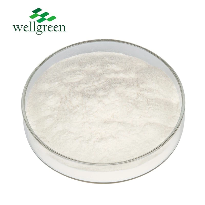 تصنيع بالجملة Well Manufactory Collagen Powder Collagen من النوع الثاني