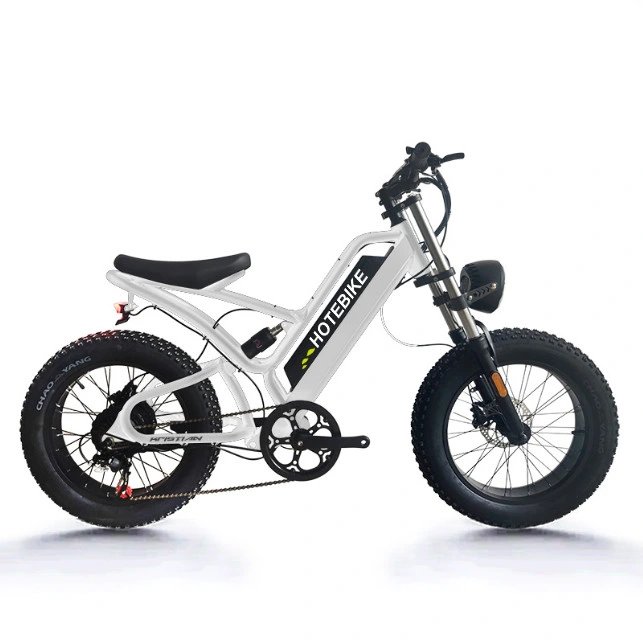 Aluminum Alloy 7/9/21 Speed with Derailleur Electirc Dirt Biike Electric Fat Tire Bike