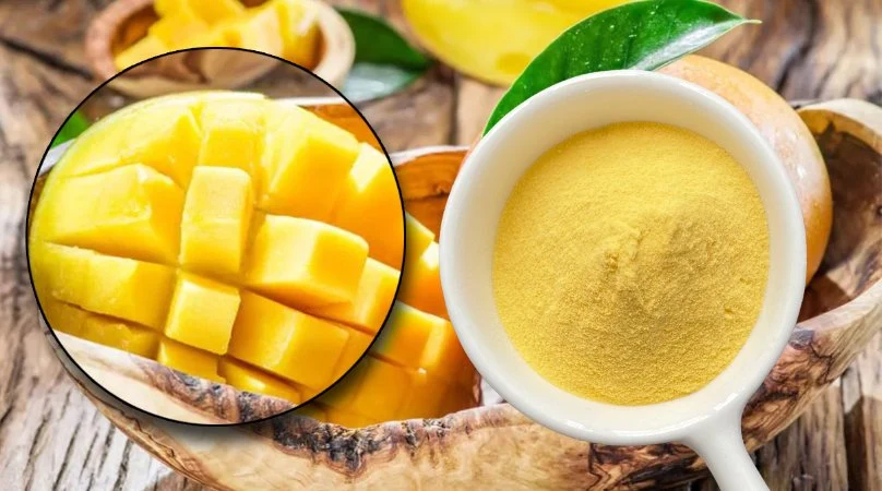 Alimento grau Mango frutas pó Spray seco seco suco manga Pó com amostra livre