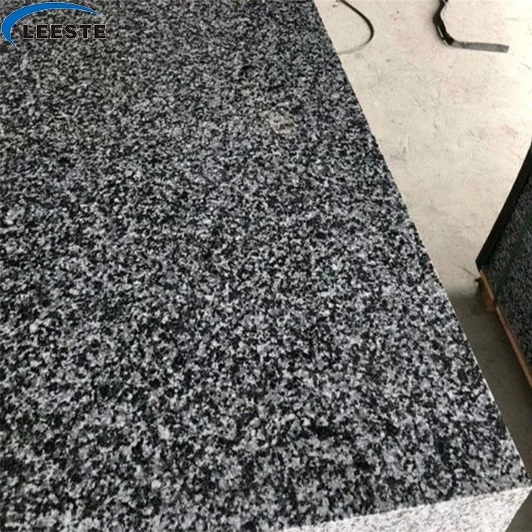 Hot Sale Natural New G654 Grey Oxford Pandang Dark Impala Black Granite Stone