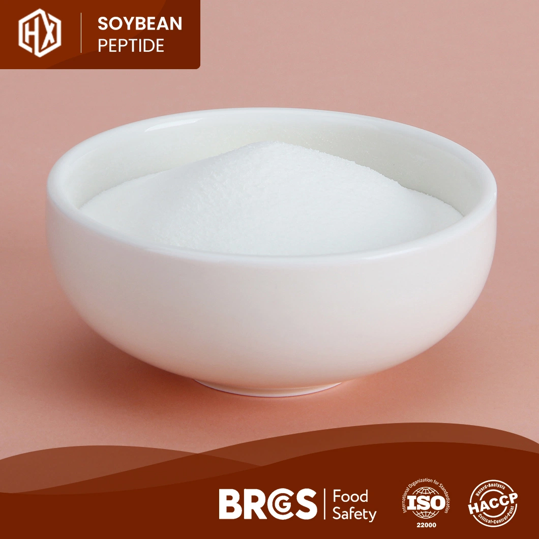 Haoxiang High Purity Water Soluble Small Molecule Soy Peptide OEM Custom Food Grade Bulk High Purity High Protein EU Organic Isolated Soy Sprout Peptide Powder