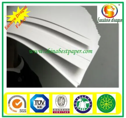 80g Cast Coated Paper for Adhesive Sticker Paper/Autoadhesive paper