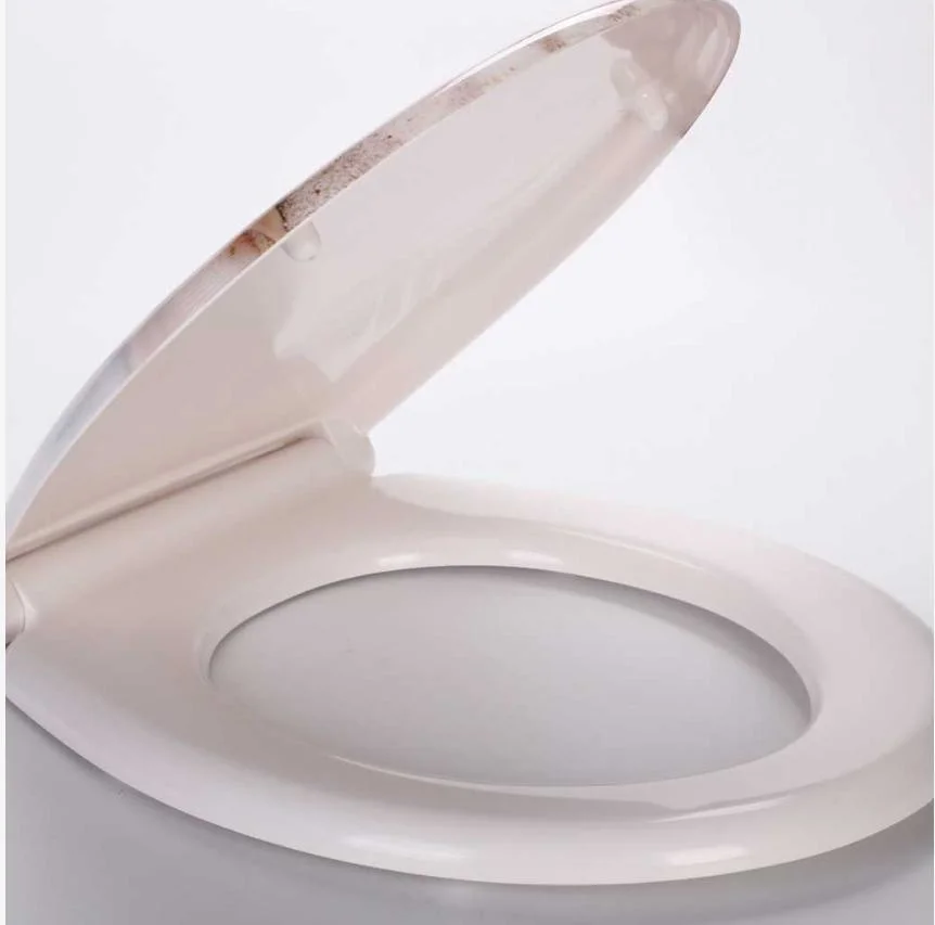 Custom High-End Hot White Ceramic Toilet Seat