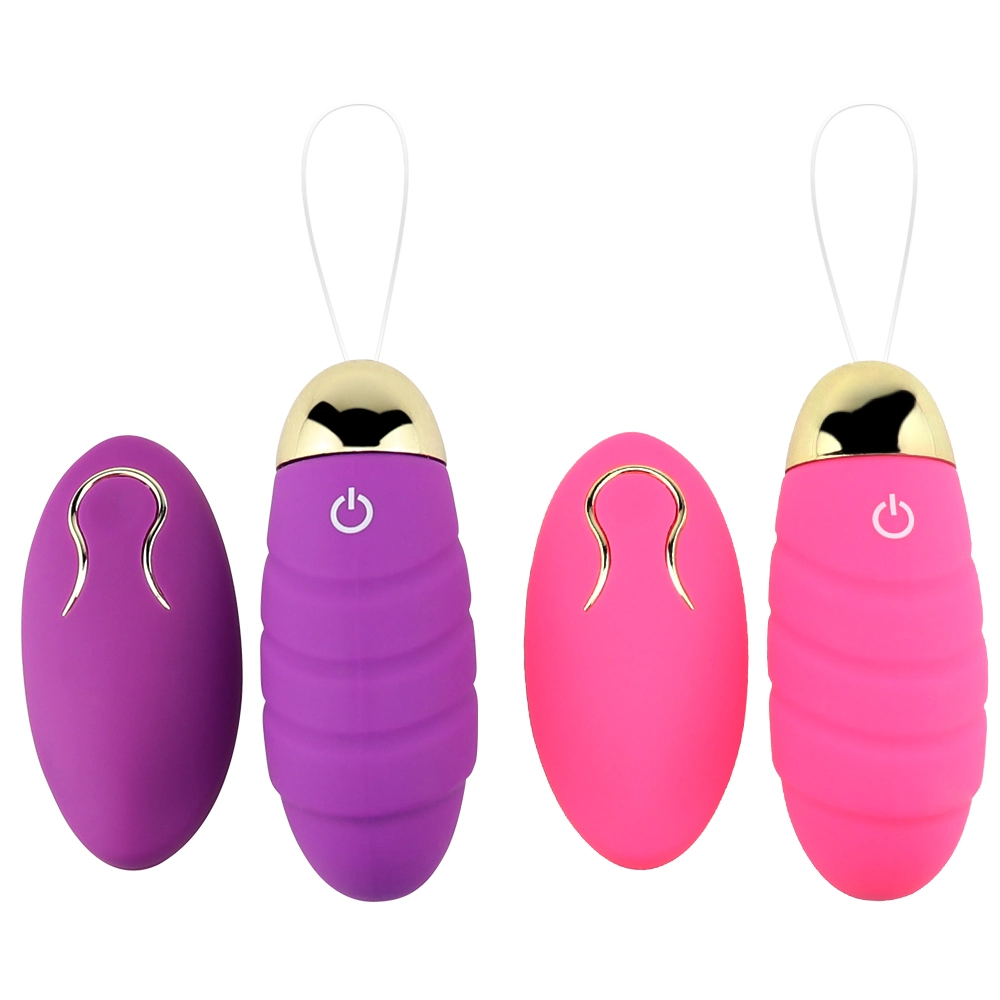 Premium Love Egg Vibrator Remote Control USB Rechargeable Female Adult Sex Toys
