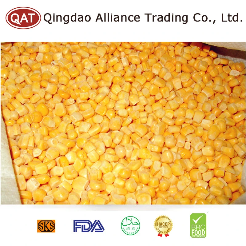 None GMO Frozen Super Sweet Corn Kernels IQF Corn with Top Quality