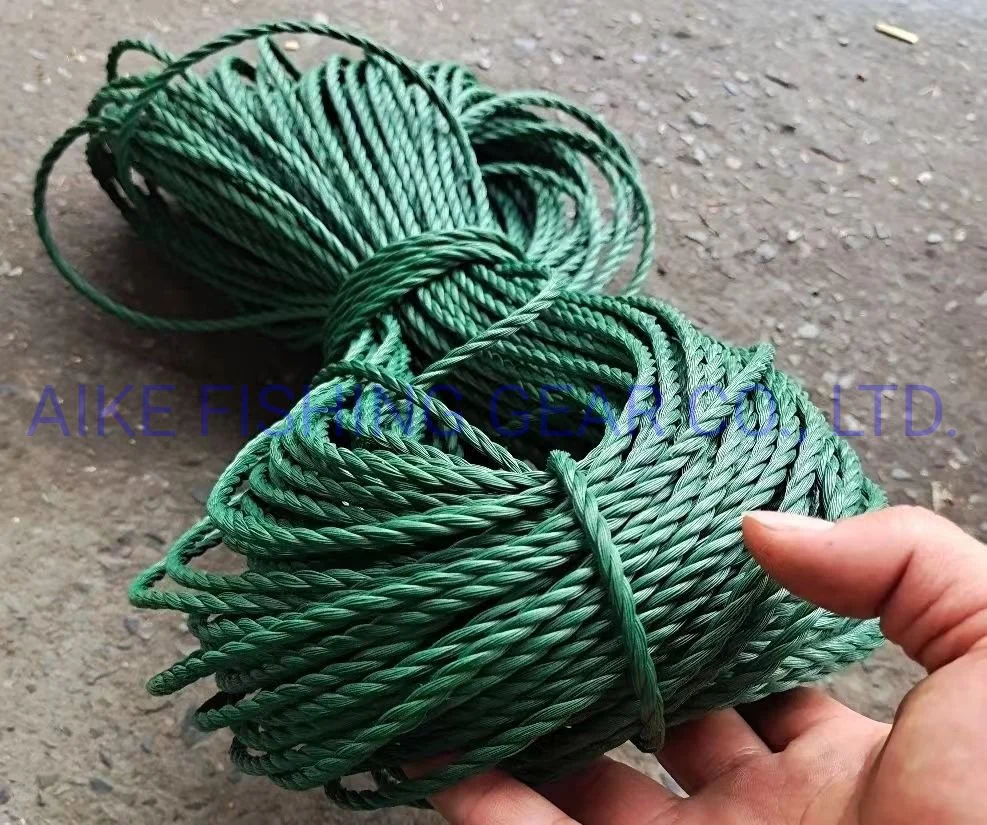 Hochwertige geflochtene/Twist Nylon Seile Kundenspezifische Farbe / Größe Verpackungsabzug Seile, Nylon Seil für LKW-Schleppen, starke Zugkraft, Industrie-Sling, Sicherheitsband