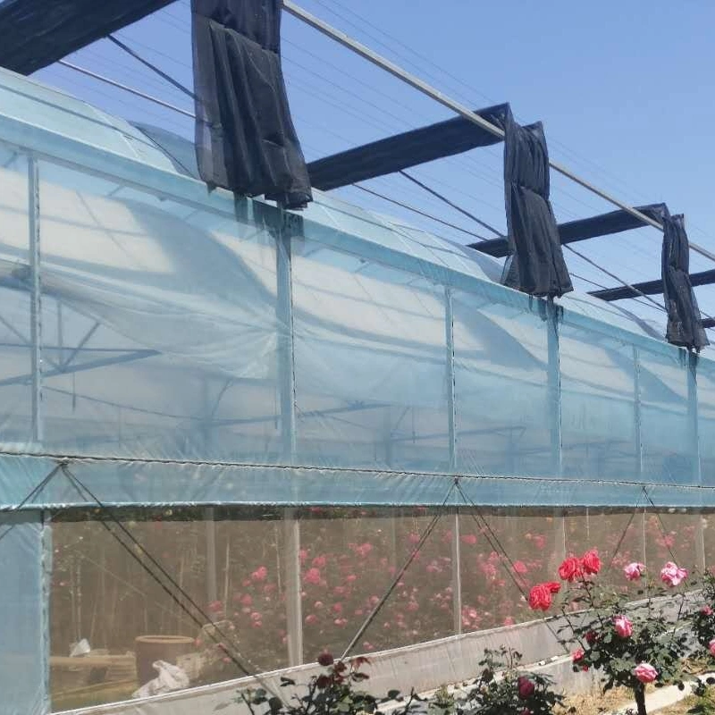 Agricultural Multi Span Plastic Hydroponics Growing System Greenhouse for Vegetable