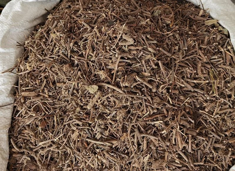 Han Xiu Cao Gen Hot Selling Mimosa Root Bark Pure Mimosa Hostilis Root Bark with Cheap Price