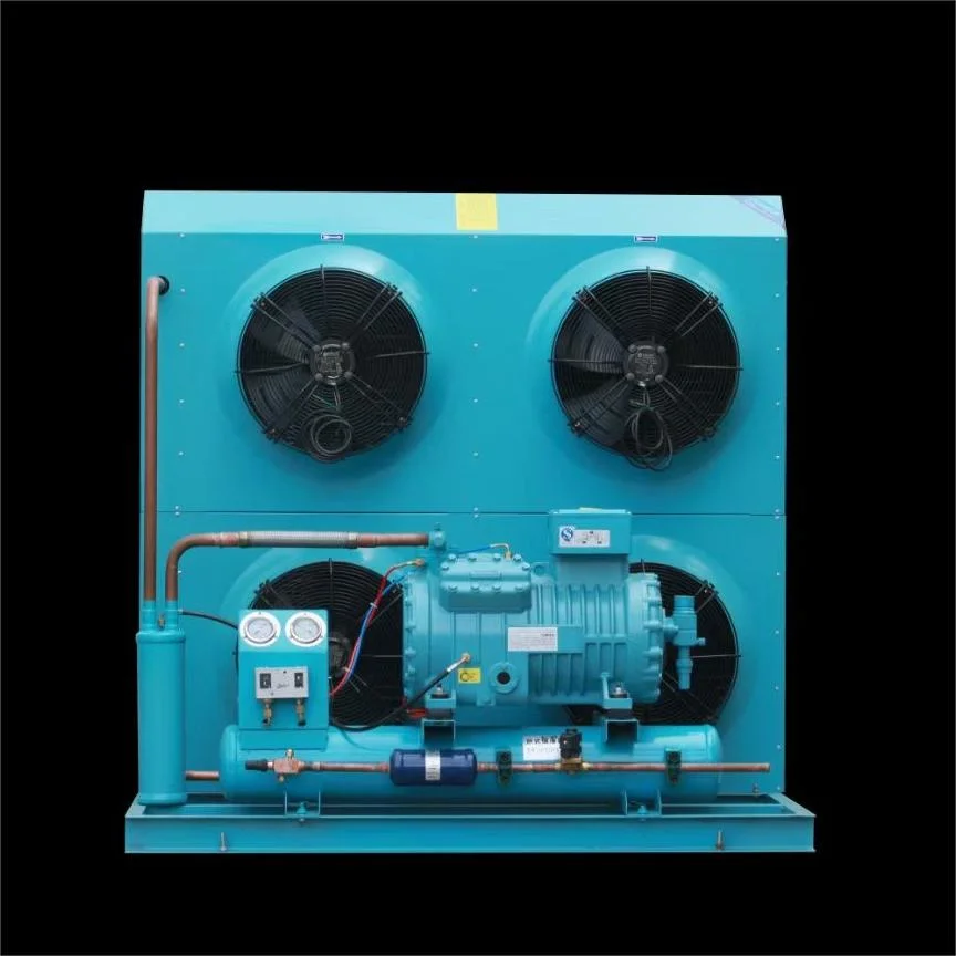 Light Weight Environmental Protection Compressor Units for Cold Room