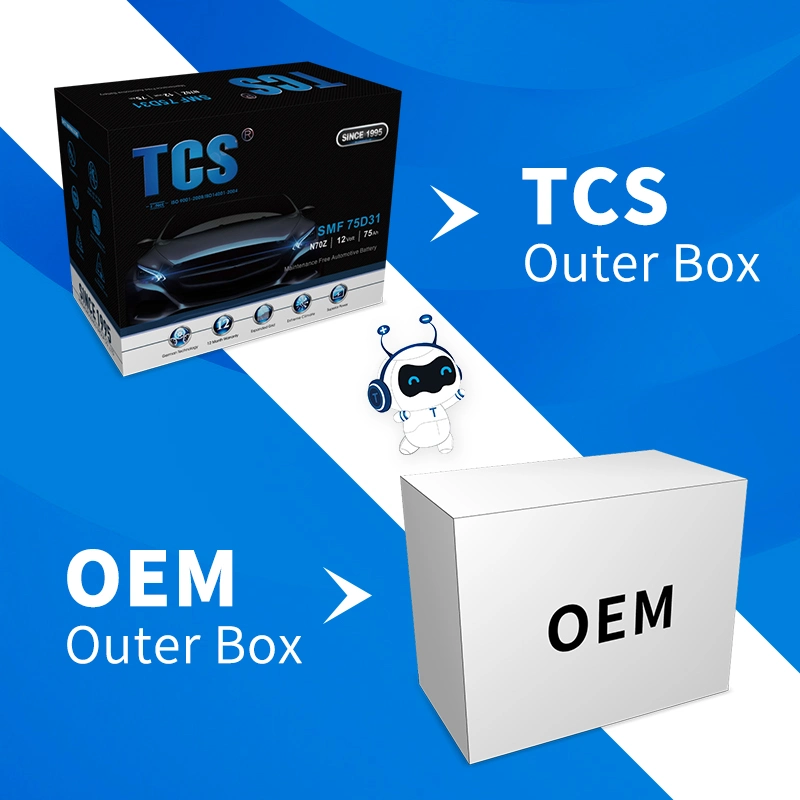 TCS Sealed Maintenance Free SMF Car Battery 36B20LS