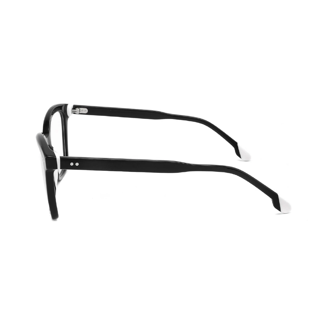 Popular Style Acetate Clear Designed Brand Ray-Ton Vision Optical Frame