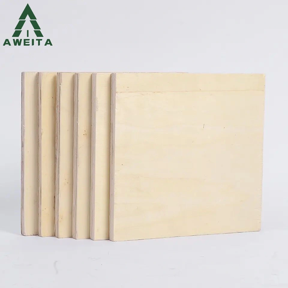 Factory Direct Price Wood Construction 18mm Birch Fancy Plywood