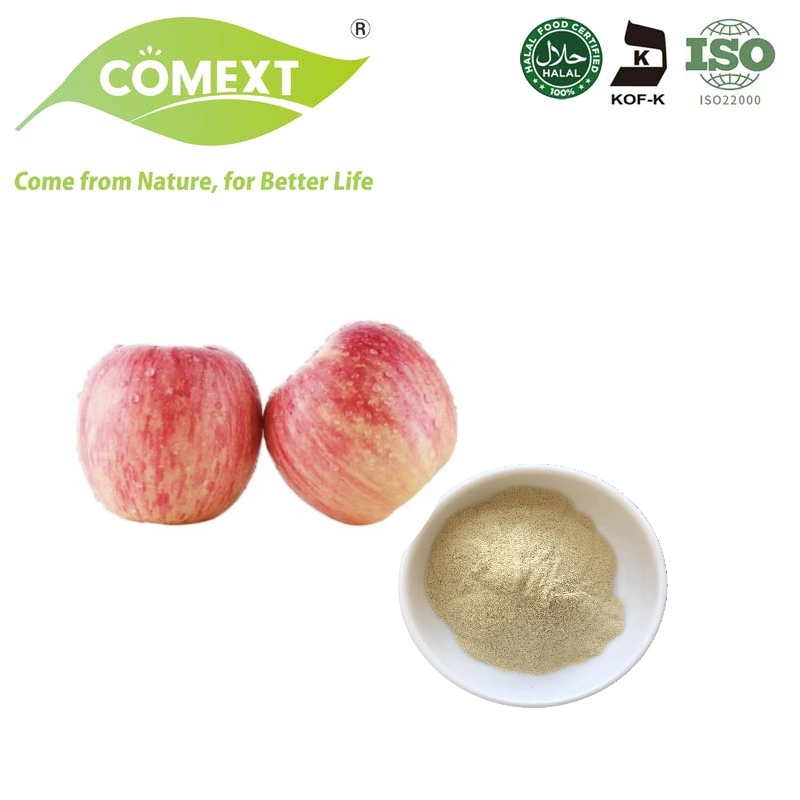 كومext Apple cider خل مسحوق 5% 10% جيد الجودة بالجملة مسحوق خل التفاح المجسم