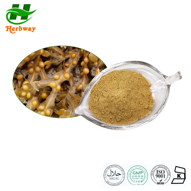 Herbway Factory Direct Sale Botanical Extract Bladderwrack Extract Fucoxanthin Natural Pigment