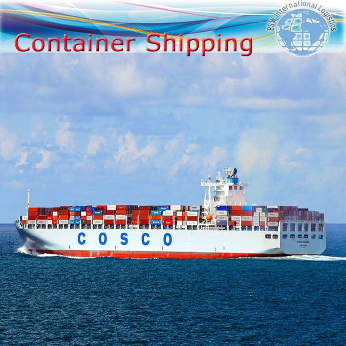 Door to Door Safe Sea Shipping Ocean Forwarder Freight From China to Argentina