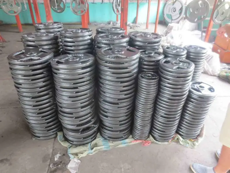 Factory Sales Gym Equipment Cast Iron Plate with Paint Osf-019