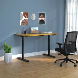 Tekvorcare White Standing Desk Electric Height Adjustable Desk Lifting Home Office Desk