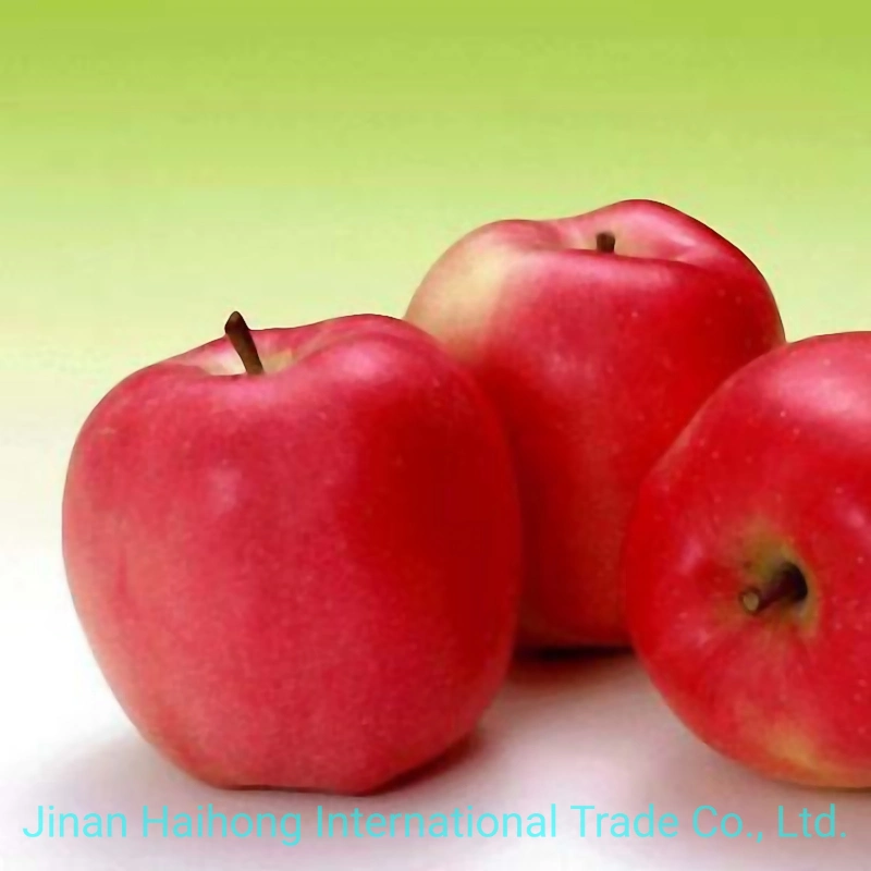 2019 Las frutas frescas de manzana Fuji manzana roja de China