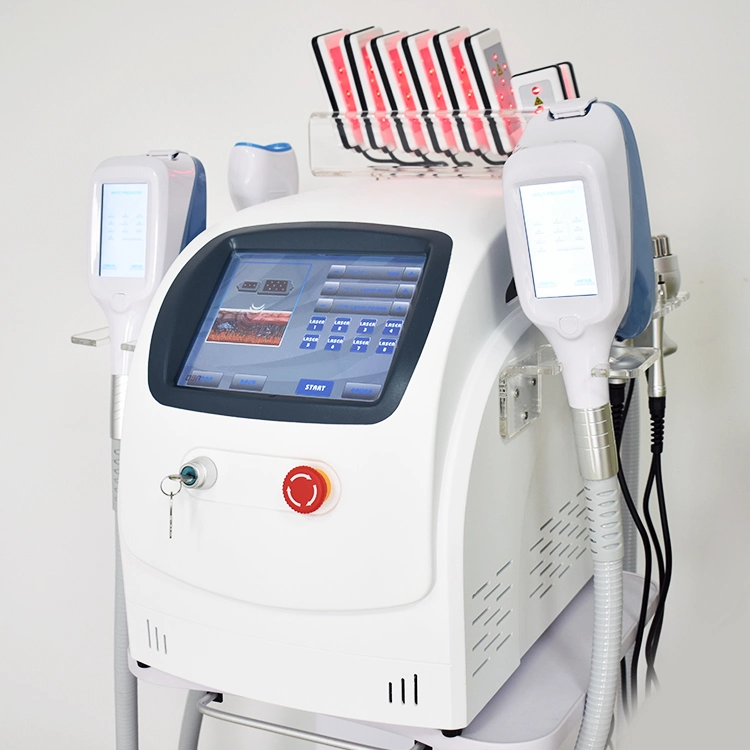 Cavitación radiofrecuencia equipo Cryolipolysis formación gratuita para eliminar la grasa del vientre