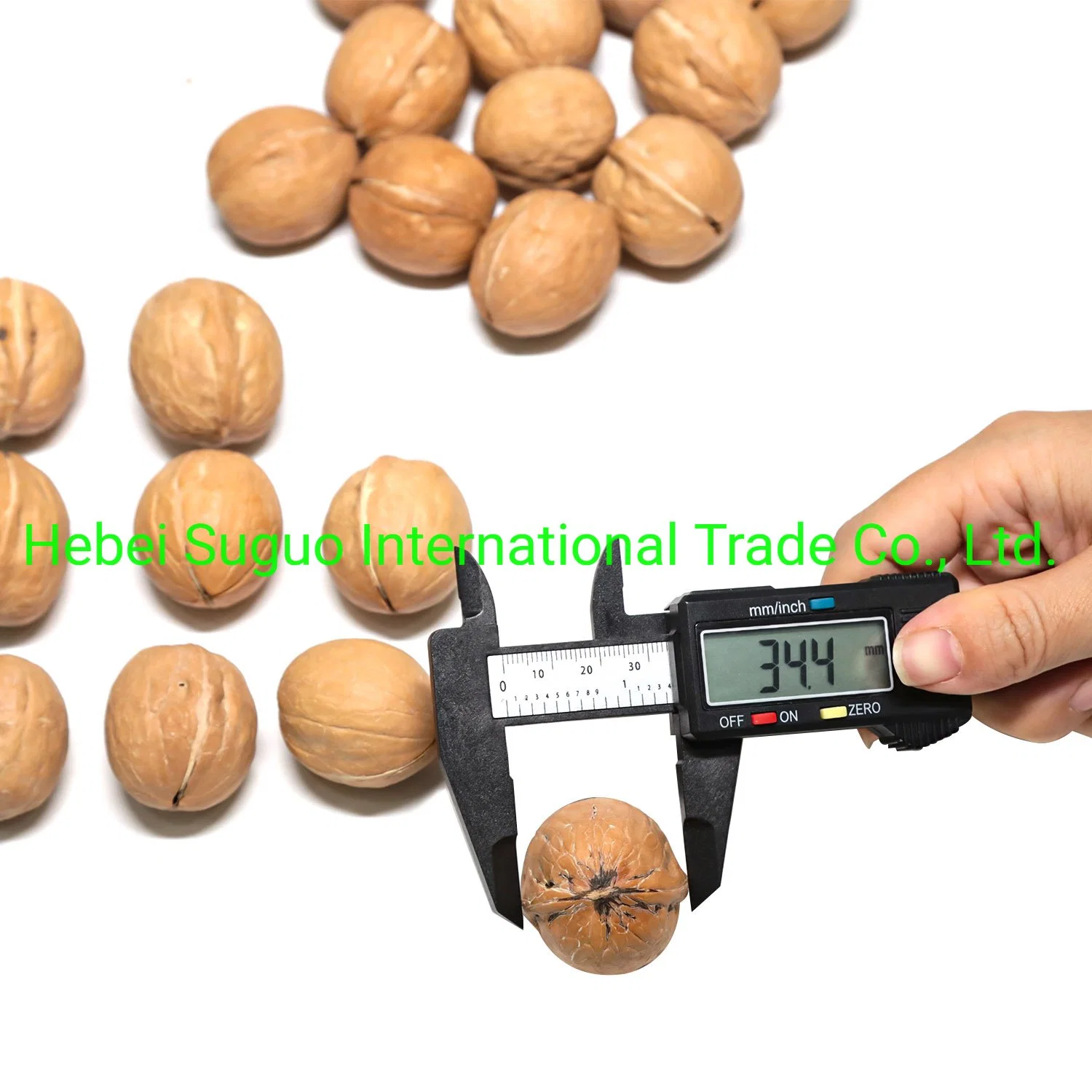 الصينية 185 33 Xinfeng Walnut وWalnut Kernels