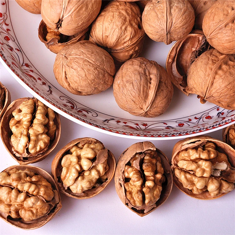 Chinese Dried Fruit Price Paper Shell Walnut in The Shell for Buyers and Importers