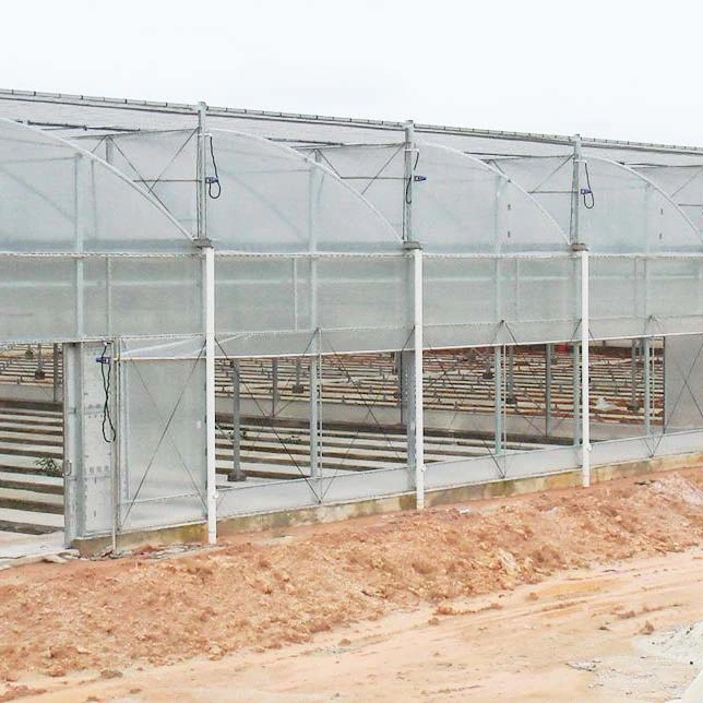 Manufacture Hot DIP Galvanized Steel Hydroponics Vegetables Warm House Greenhouse with Shading System