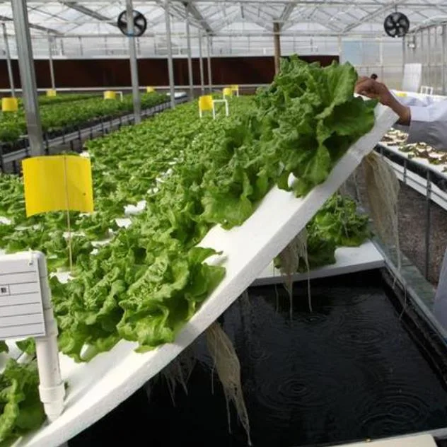 Provided Verticle System Hydroponics Smart Home Vertical Farm Hydroponic Growing Systems Indoor Agriculture