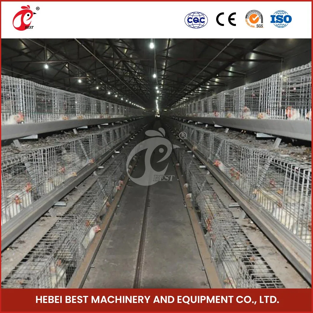 Bestchickencage China 20 Hens Chicken Coop Manufacturer a Frame Automatic Broiler Cages Custom Land and Space Saving Simple Cage for Chicken