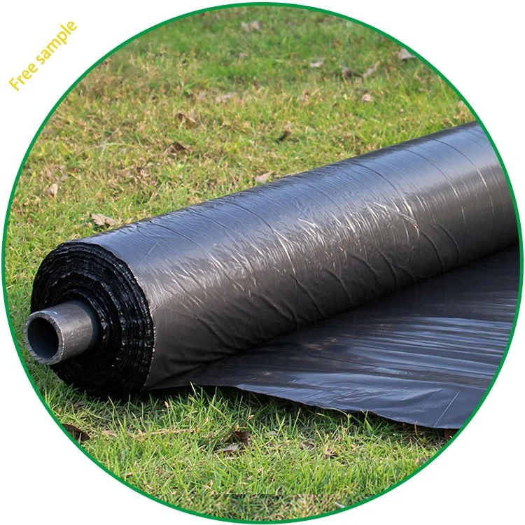 25 Micron 1.2m Wide Polyethylene Plastic Mulch Film Agricultural Tomato Mulch Film