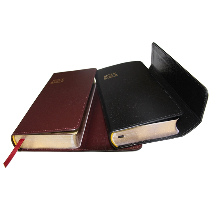 Gold Print Bible Dictionaries New International Version