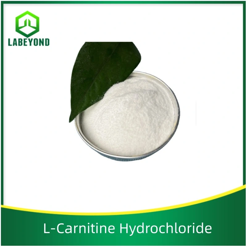 Aditivos alimentarios Suplemento nutricional L-Carnitina Clorhidrato CAS 6645-46-1