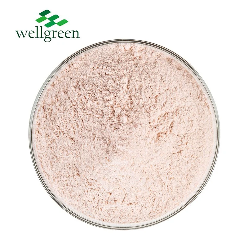 Wellgreen Best Price Free Sample Pomelo Peel Extract Shaddock Peel Powder Red Pomelo Powder