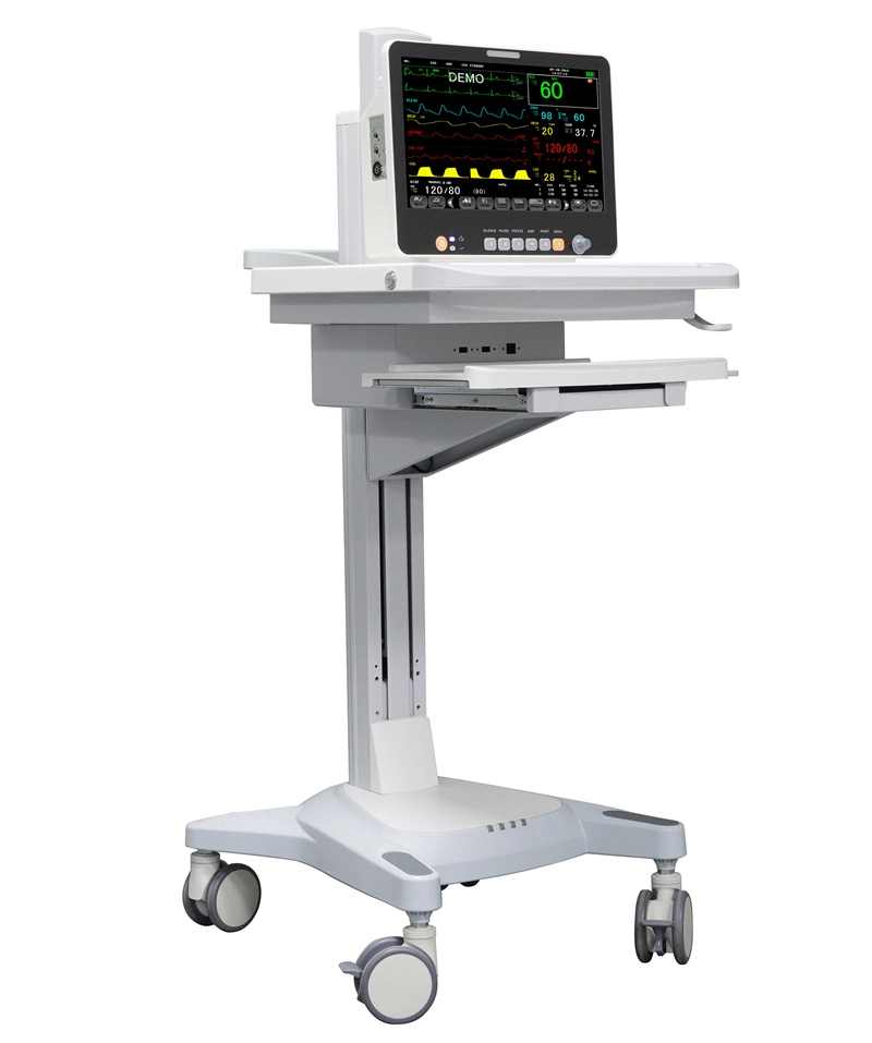 15.6 Inch with Printer Etco2 China Medical Surgical ICU Multiparameter Patient Monitor Price