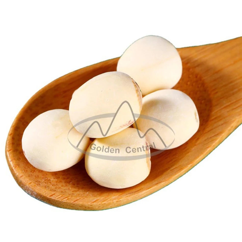 Wholesale Natural Dried Lotus Seed Lian Zi with High Grade