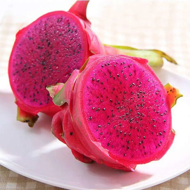 Rosa polvo matcha Pitaya fruta orgánica comprar té Matcha Powder Proveedor