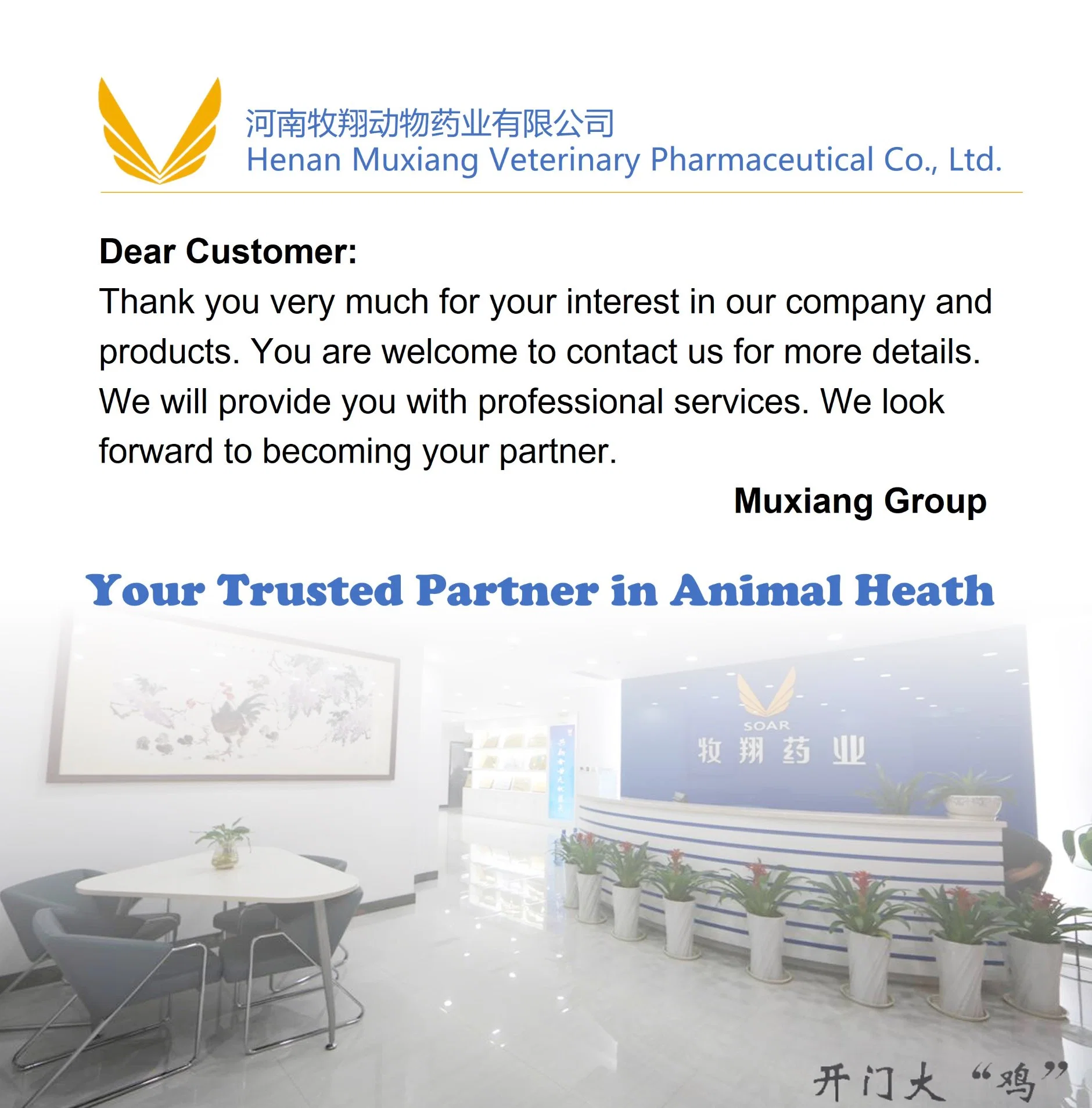 GMP ISO Manufacturer Tilmicosin 30% Injection for Animal Use