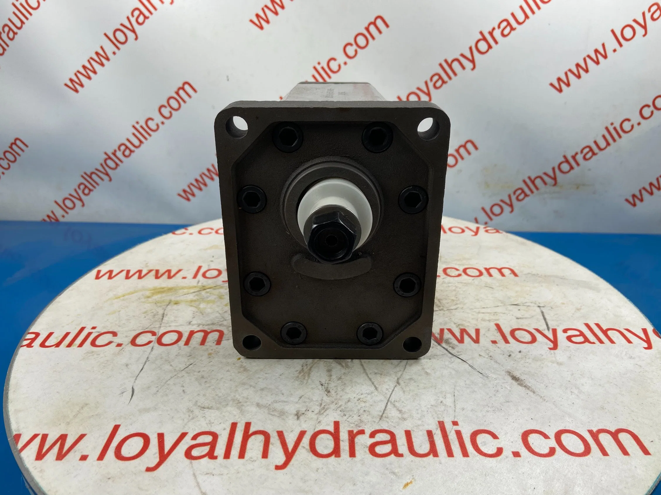 L-Caproni Hydraulic Gear Pump A16/C16/A19/C19/A14/C14/A15/C15 for Forklift, Crawler Excavator, Agricultural Machinery, Tractor Spare Parts