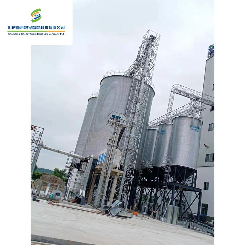 1000t 2000t 3000t Grain Silos Price for Paddy/Corn/Sorghum Storage Steel Silo Bolted Type Farm Bin Manufacturers