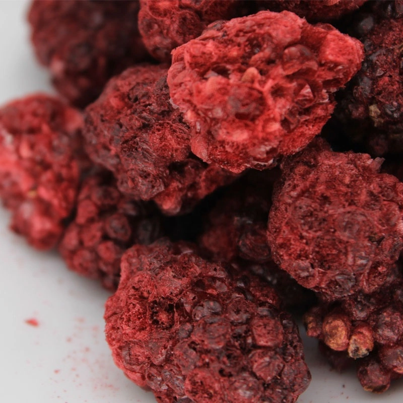 Ttn Sale of Freeze Dried Blackberry with Dried Black Berry Prices