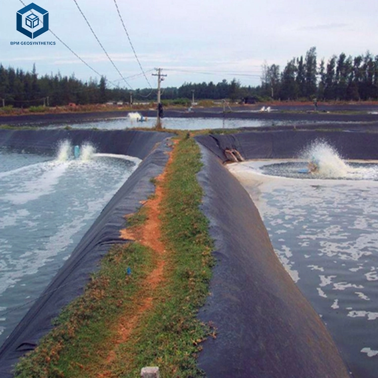 Otros productos de trabajo en tierra Geomembrane 0,5mm para peces Camarones Pond in Perú