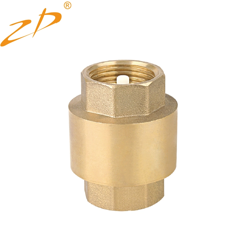 Backflow Brass Check Valve Foot Valve with SS304 Filter for Fountain Suction Hose Domestic Waterworks Garden Well Pump