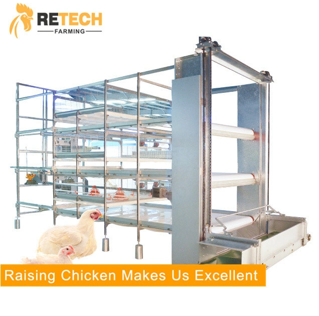 Automatic Poultry Farm Broiler Feeding System Broiler Chicken Raising Equipment