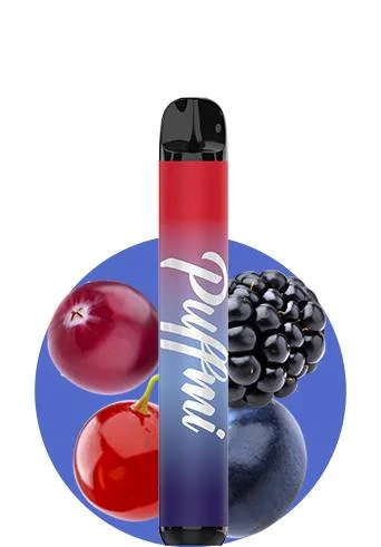 2023 Latest Custom Disposable Vape Pen Slim Portable Ecig Nic Salt Multi Fruit Flavors Pod