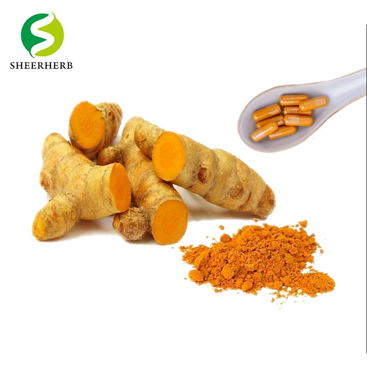 2022 Pure Turmeric Curcuma Longa Extract Organic Curcumin Powder Turmeric Root Extract with Bioperine 95% Curcuminoids