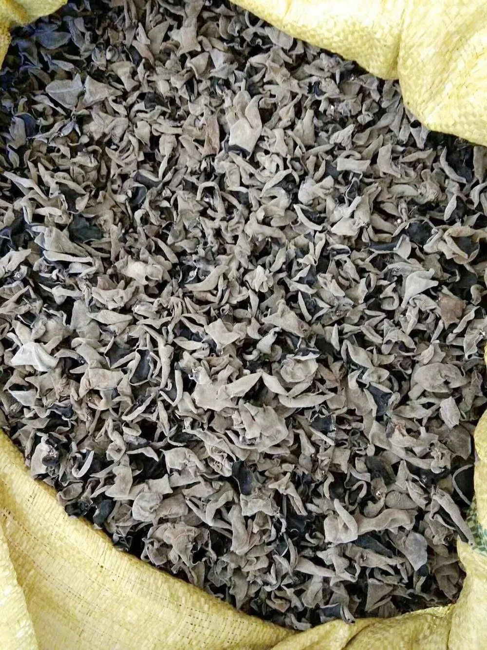 Shelf Stable Chinese Medicinal Black Fungus Mushroom