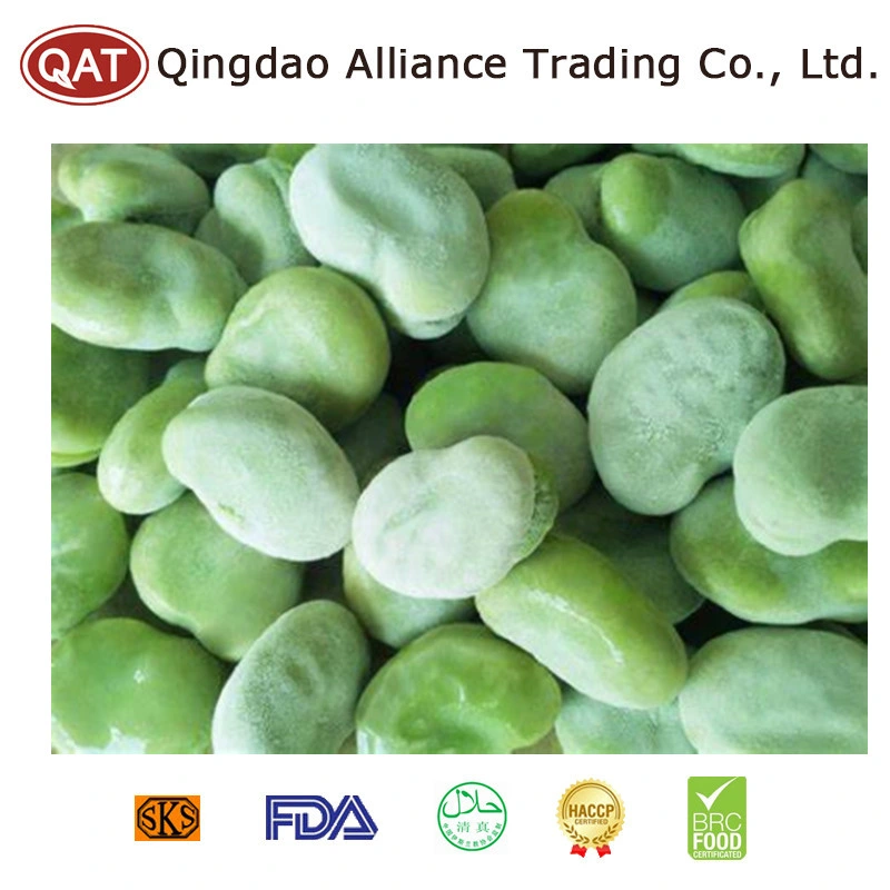 Halal Brc ISO New Crop Frozen IQF Green Color Broad Beans with Factory Price Broad Beans Kernels in Bulk Carton Package Retail Packing